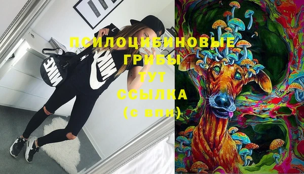 ПСИЛОЦИБИНОВЫЕ ГРИБЫ Нижневартовск