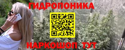 трава Беслан