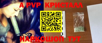 стаф Донецк