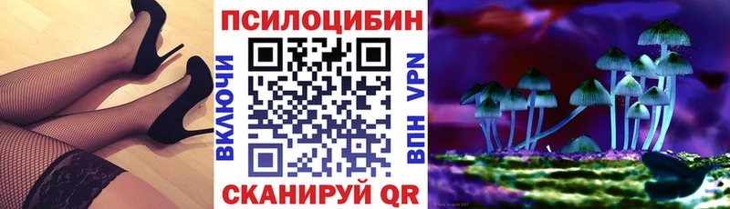 наркотики  Таганрог  Галлюциногенные грибы Cubensis 
