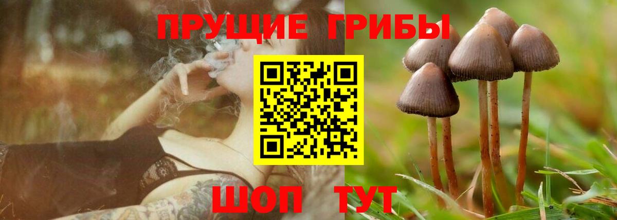 Таганрог  Галлюциногенные грибы Psilocybe  Вход с VPN 